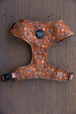Pablo & Co Adjustable Wild in the Desert Harness